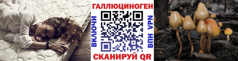 KRAKEN сайт  Александров  Псилоцибиновые грибы мицелий 