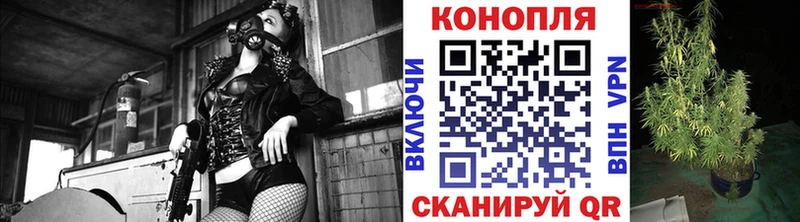 Конопля марихуана  Александров 